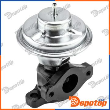 Vanne EGR pour HYUNDAI | 177304, 709002060
